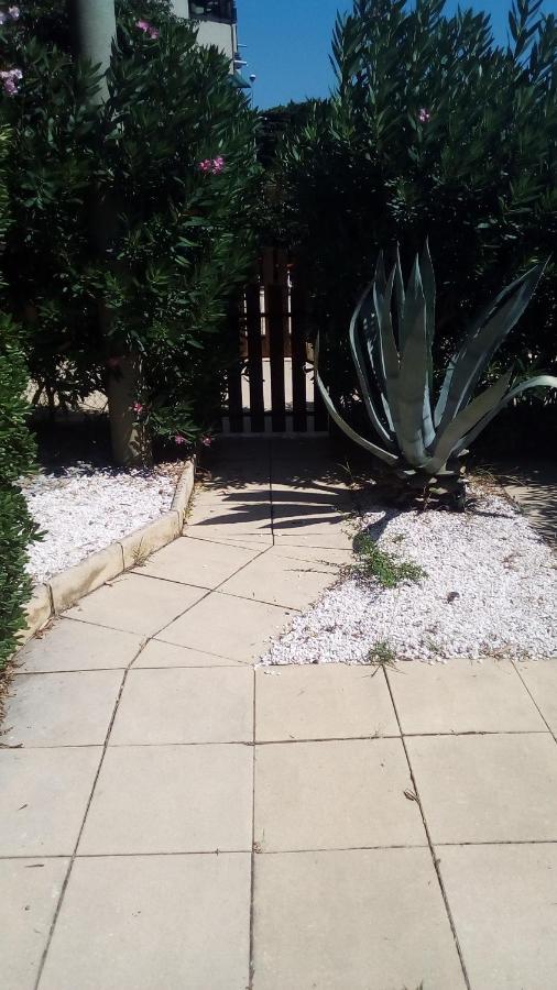 Studio De 27 M² + 70 M² De Jardin A 100 M Des Plages Cavalaire-sur-Mer Exterior photo