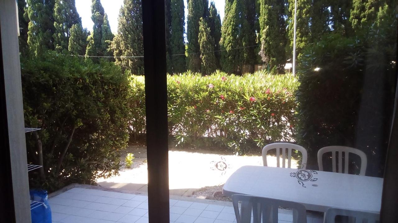 Studio De 27 M² + 70 M² De Jardin A 100 M Des Plages Cavalaire-sur-Mer Exterior photo